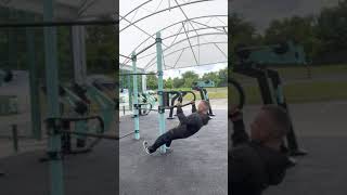 The Elements Fitness Outdoor No 6 Assisted Pull Up