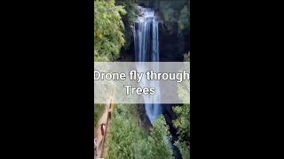 Drone passes through trees to reach a Majestic Waterfall #shorts #shortvideo #travel #waterfall