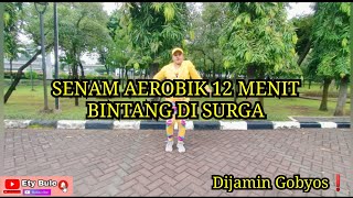 SENAM AEROBIK 12 MENIT - BINTANG DI SURGA (UNTUK PEMULA)