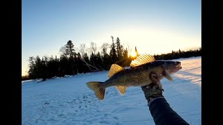 Late Bite Walleye