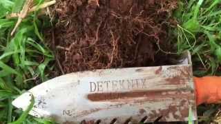 Snakes and silvers detecting NSW with John 24gold