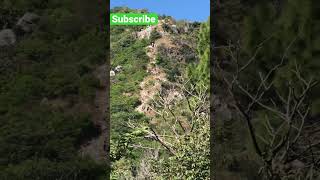 Track5 #hiking #excersize#getfit #beautifulview #mentalhealth #islamabad #viralvideo #viralshort