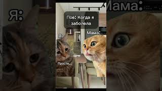 ЖИЗА #polly_k #youtube #рекомендации #подписки