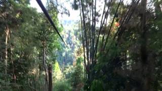 GIBBON Experience LAOS - Zip Lining