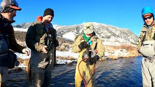 Madison River Fly Fishing