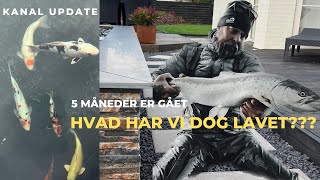 Havørreder - Have & Koikarper - Hvad har vi lavet?