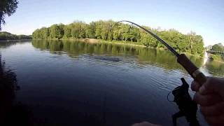 NJ Shad Fishing with Ken Beam on the Delaware River - Shad Fishing in NJ!