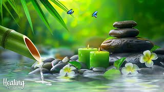 Relaxing Piano Music + Insomnia and Healing 🌿 Nature Sounds, Relieves Stress Music, Deep Sleep