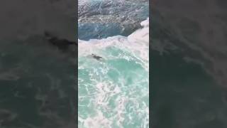 Situação extrema para entrar no mar em Niterói