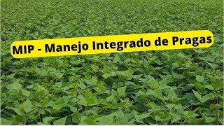 MIP Manjo Integrado de Pragas - EP01