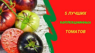 5 коллекционных томатов с отличным вкусом и необычной окраской, которых нет ни в одном магазине!