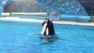 Shamu