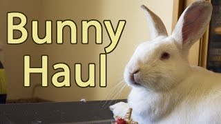 Bunny Haul | Rabbit Toys Australia Shop