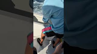 Vacation Fishing:  Aruba Barracuda