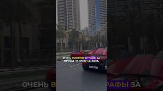 Штраф 50.000 AED❓за проезд на красный свет в Дубае🇦🇪 #автоподбор #дубай