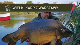 Duży Karp z Centrum Stolicy - Nash Tackle