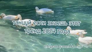 🦢🩵 Танцуй если знаешь этот тренд 2024 года 🦢🩵 Лучшее тренды Тик Ток 2024 🦢🩵