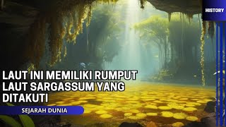 Mengenal Laut Sargasso, Satu-satunya lautan yang tidak menyentuh daratan