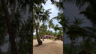 Resort with a private beach at Havelock Island! #shorts #youtubeshorts #havelock #trending #viral