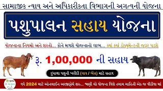 Pashupalan Sahay Yojana 2024 Gujarat | Gujarat Pashupalan Loan Yojana 2024 | પશુપાલન સહાય યોજના