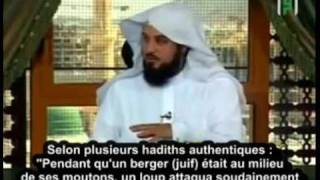 Islam : Le Loup Qui Parle (Une Histoire Vraie ) [Cheikh Mohamed El-Arifi]