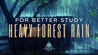 Rain Sounds For Sleeping or Studying: Rainforest Sounds. White Noise Calm Rain Sounds For Sleeping