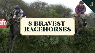 Are these the BRAVEST racehorses we've ever seen?