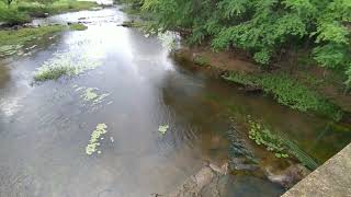 Rio Jacuípe ( Ponte de Marinalva ) ao Açude de Nova Esperança , Várzea do Poço -  Ba = 10/04/2024