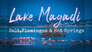 LAKE MAGADI: SALT, FLAMINGOS & HOT SPRINGS