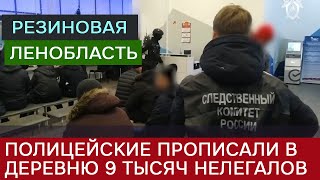 Полицейские прописали в одной из деревень 9 тысяч мигрантов-нелегалов