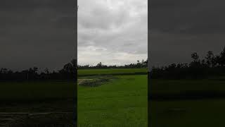 প্রকৃতি প্রেমিদের জন্য #shorts #shortvideo #shortsfeed