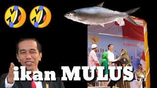 Ibu - ibu provinsi Aceh bikin ngakak  🤣 ikan mulus