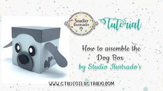 How to assemble the Dog Box by Studio Ilustrado