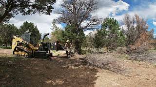 Erskine CH800H wood chipper on a Cat 299D3 XE