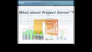 Extending Microsoft Project