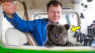 Pilot Rescued Abandoned Bear Cub But 3 Years Later, The Unthinkable Happened!