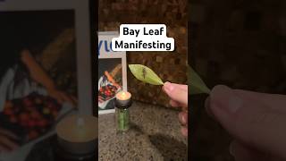 manifest with a bay leaf 🍃✨ #shorts #manifestation