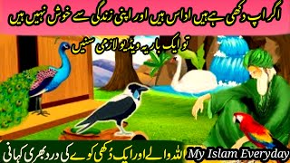 Allah Wale Aur aik Dukhi Kaway ki kahani|Story of a Crow and Wise Man |Islamic Stories