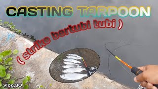 CASTING TARPOON ( strike bertubi tubi )