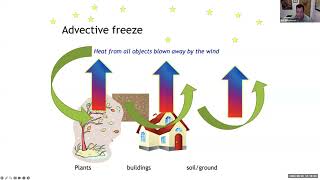 Tropical Fruit Tuesdays: Cold Protection of Tropical Fruit