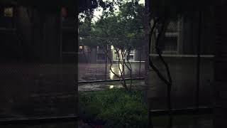 #rain #shorts #viral #shortvideo