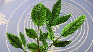 How to make realistic fondant leaves || how to make rose leaves