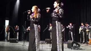 2-6-14 McHi Mariachi Oro, Tema Del Mariachi Oro