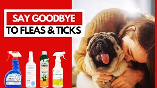 Best Flea And Tick Spray For Dogs - Keep Your Dog Safe