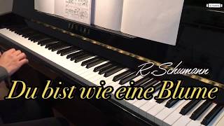 Du bist wie eine Blume, in E Major, Karaoke, for low voice, Accompaniment, R.Schumann