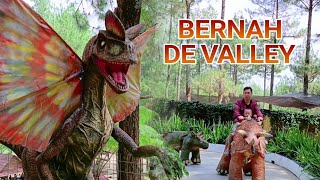 Bernah de vallei bersama adek alif naik Dinosaurus dan Tirex