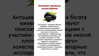 Снижает уровень холестерина