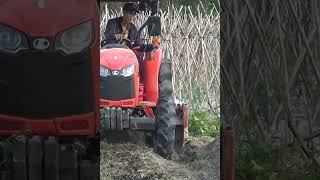 #kubota #maycay #Short #Shosts Phay ep luong cho l5018 #tractor #farmer