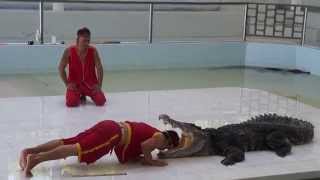 Crocodile farm show. Phuket. Part 2. Шоу крокодилов. Пхукет. Часть 2