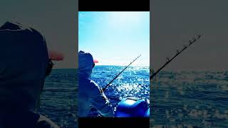 Sailfish Challenge 2023